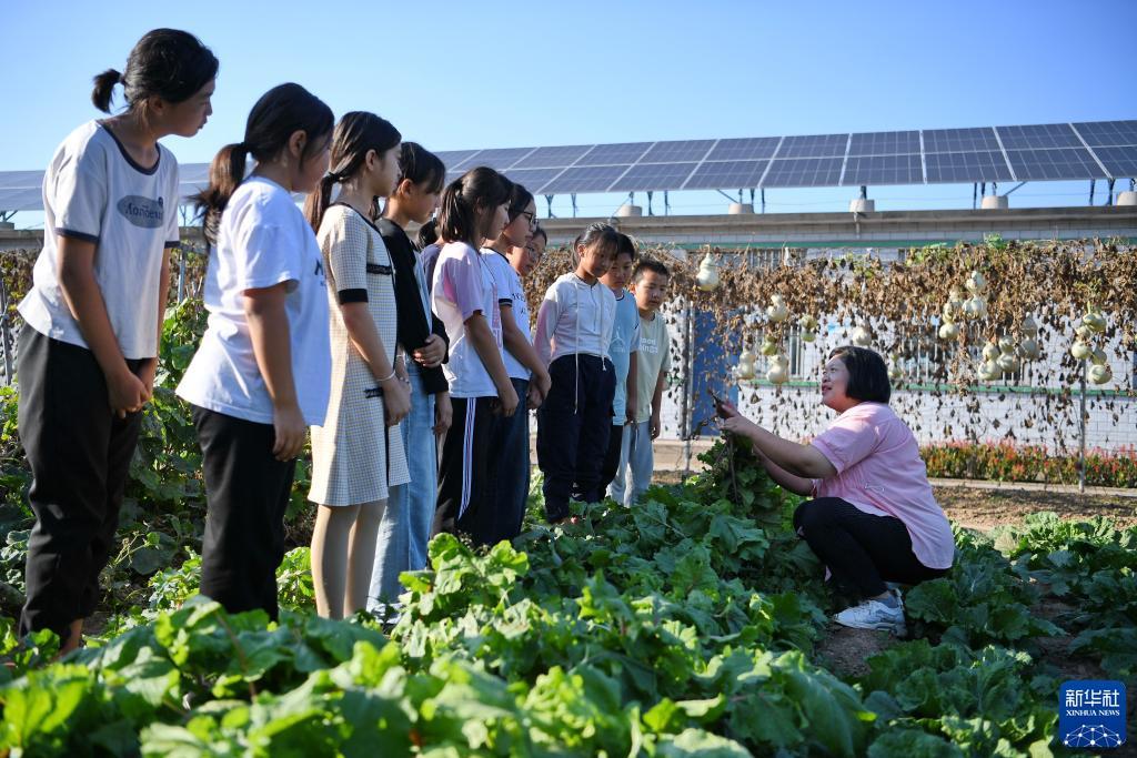 新莆京官方网站入口